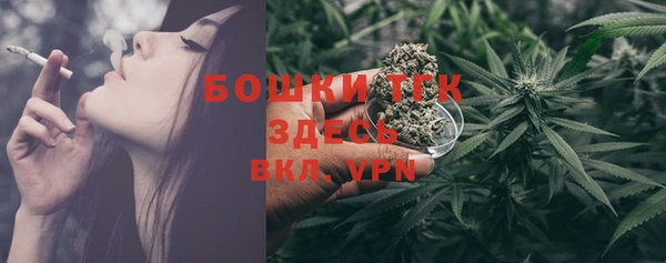 шишки Аркадак