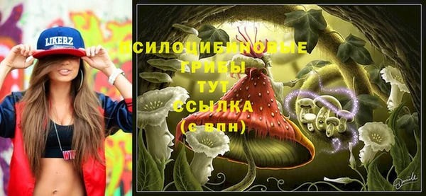 герыч Арсеньев
