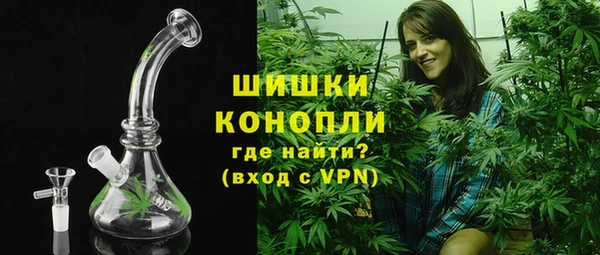 шишки Аркадак