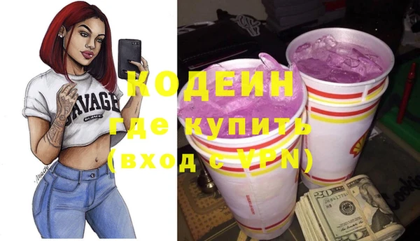 шишки Аркадак