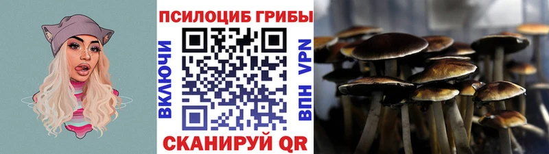цены   Тейково  shop состав  Псилоцибиновые грибы MAGIC MUSHROOMS 