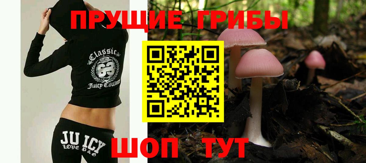 Псилоцибиновые грибы Magic Shrooms  Псилоцибиновые грибы GOLDEN TEACHER  хочу   Вход с VPN  Тейково 